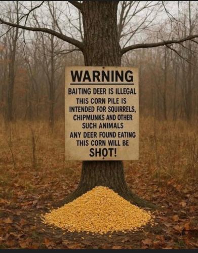 017b3d4c-e1bf-47f4-a779-69ae52757441