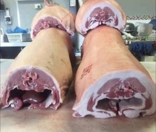 677833319_1441729914418212_1080381378749988460_n