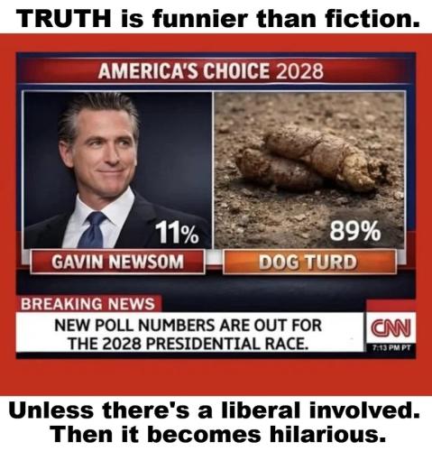 Truth is funnier than fiction Newsom 2028.768px