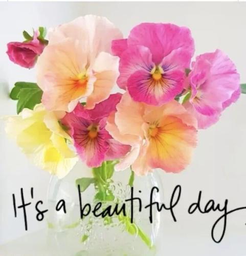 4b571486ff17e2c291d89ace088cd6fe