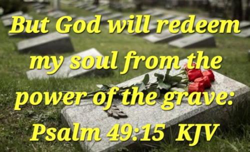 c266ea7b-db9b-49b0-b85d-92b71d5d0715