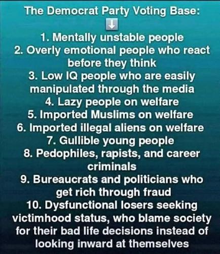 democrat-voting-base
