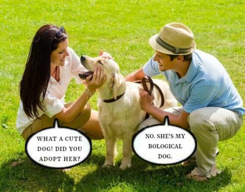biologival-dog