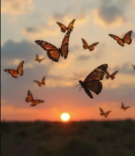 TESTHUB_photos_users_KPBY8Tc46ldqLjWXf6bqxqOW3AR2_-OqgHtw1z_e2nQg7ahY2_img_rsz__1100x1100