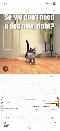 Screenshot_20260413_183423_Google