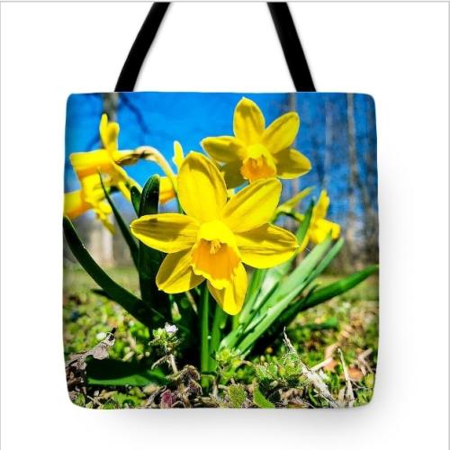 Screenshot_20260415_131638_Brave