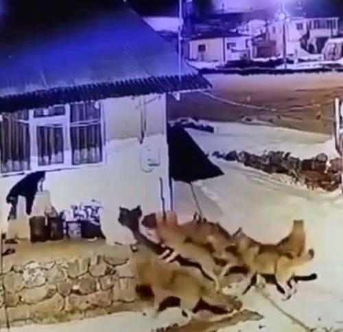 FB_IMG_1777169318118