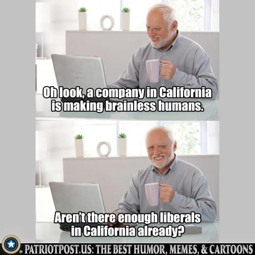 01KNQ4KGA3FF15NKZEV4S83BMC