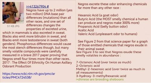 IMG_20260408_154000_979