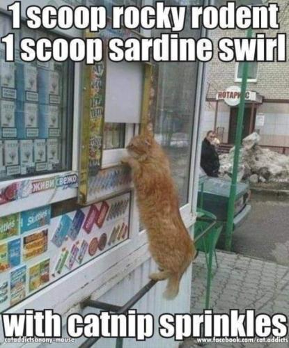 e642705876360f2fb0c919cf0cd8e743