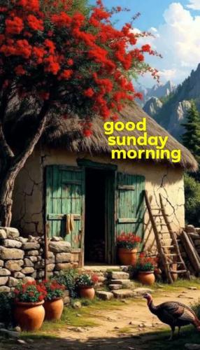 f7f48dc6c486cf6d90b392154497916b