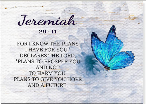 Screenshot_20260420-181352-476