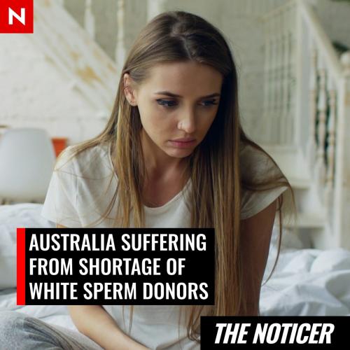 IMG_20260405_195004_668