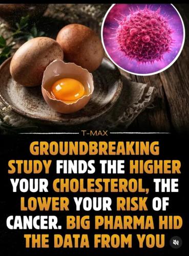 d0ce02033f214d28f6e26f40a3fcfc6b