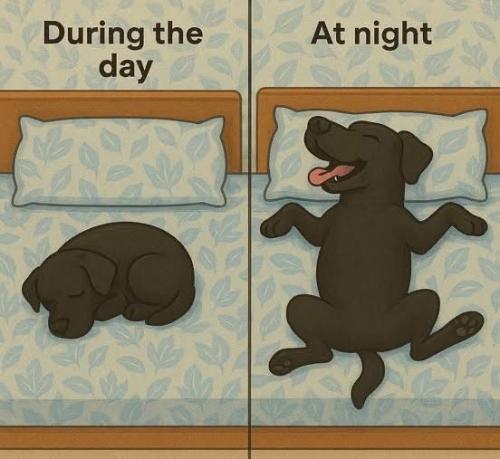 8e79b353d71b9fd8e61c8c023046353b