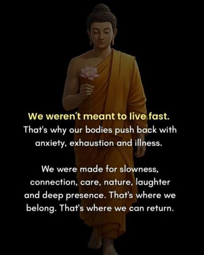 660414453_122123466555156903_1923978830578182691_n