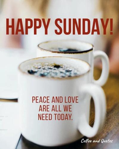 a9ac11db5ce329dd0b3224e8d994e856