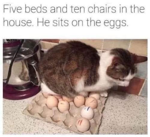 663353518_2127414668058597_5846647136275845790_n