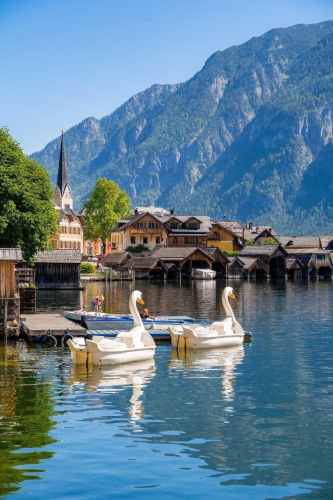 RDT_20260421_2125485217725791208186855