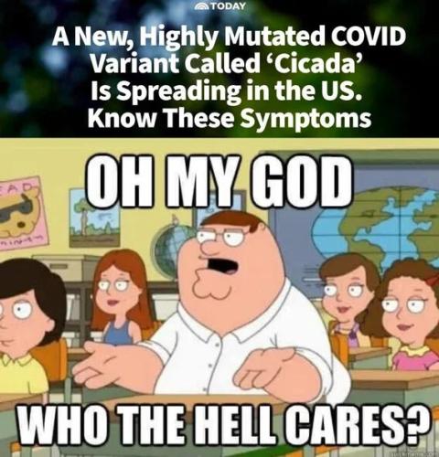 who-cares