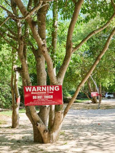 images_GettyImages_mmsport_mentalfloss_01k39r11t86tde0tcn1z