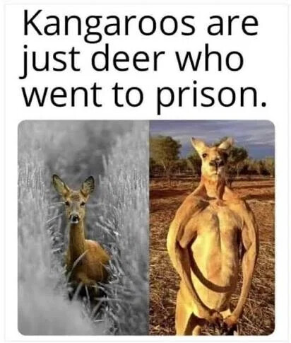 9b45b9533ae2c46eead9a63628b3dba2