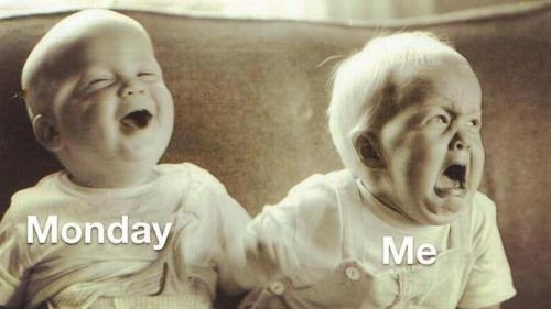 52476635_338843883418905_86637