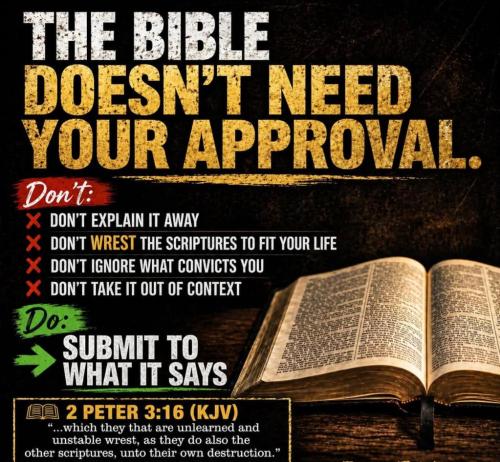 9121dadd-13a7-46d4-90e1-b47460ba80be