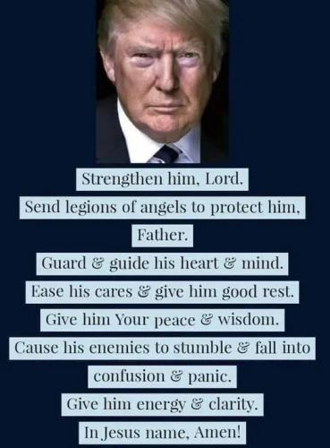 TESTHUB_photos_users_KPBY8Tc46ldqLjWXf6bqxqOW3AR2_-OrGnhDEEh6QbM3p1sib_img_rsz__1100x1100