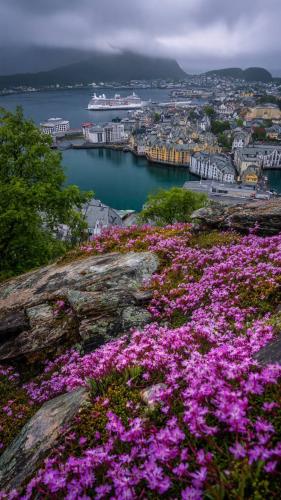 677219033_122168665274923816_8481013846236129701_n