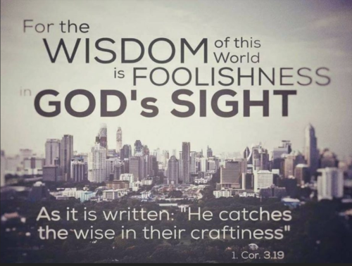 Screenshot_20260413-153848-455