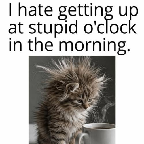 671829837_122470332728200084_3138854379672519542_n