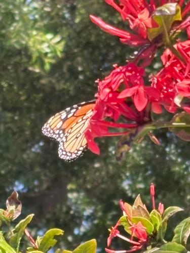 CCFA8F59-4989-4876-B0EB-4E56D40A2255