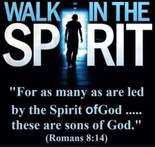 IMG_20260404_180948_212