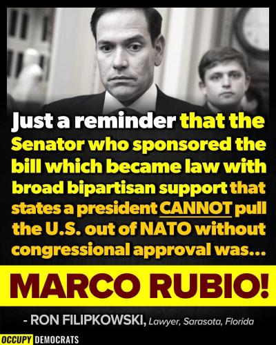 FB_IMG_1775135399736