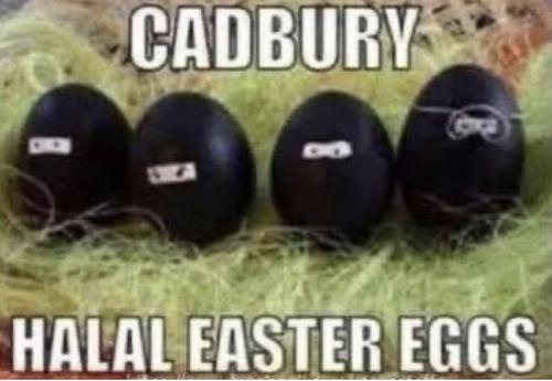 IMG_20260405_111153_921