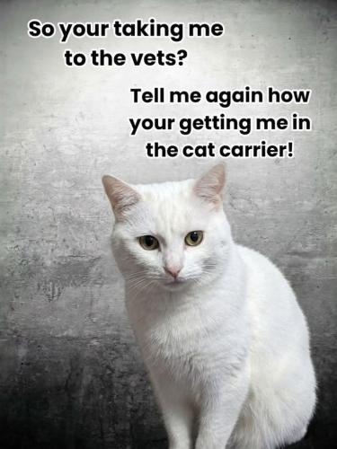 f9592abe1423be69d18cb79a52f06375