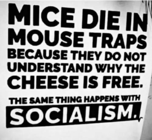 fef3f5f426caf967ab328802504f945f_1024