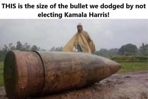 size-of-the-bullet