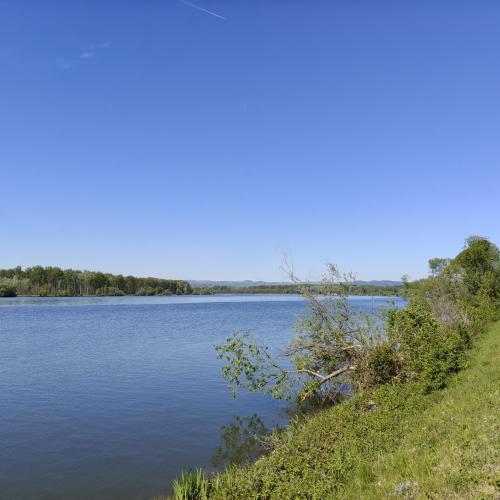 IMG20260427101410