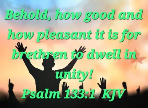 cfcd82b6-96bc-44b8-b78c-8e159617ba44