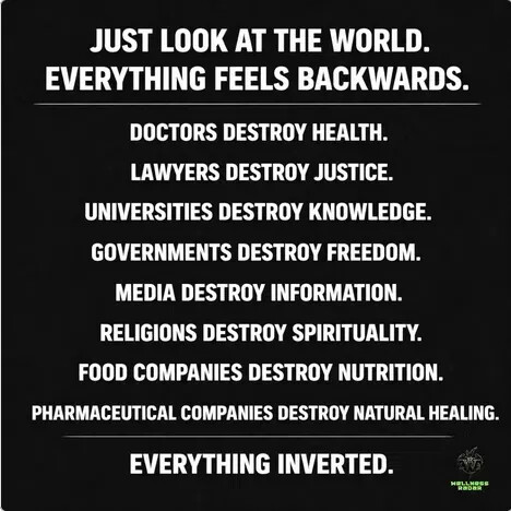 a5aa8f4910fa7a2863f560af3ac494ba