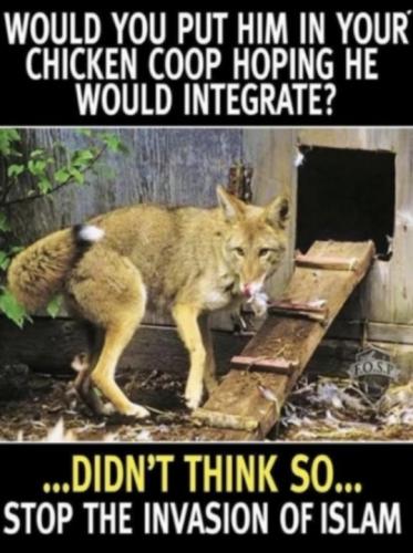 77c17d1c-fd9b-4f39-8995-05ec4d9a5d99