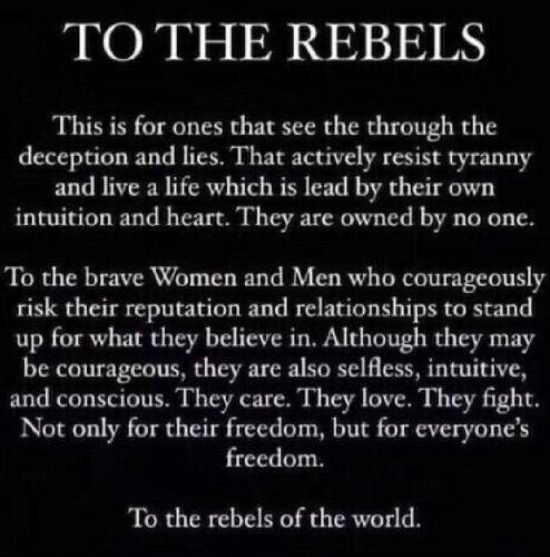 IMG_20260411_040356_330