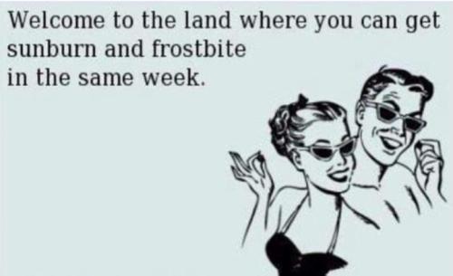 Screenshot_20260419_144835_Gallery