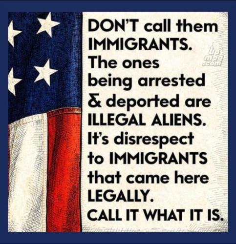 _main-qimg-a47fd08e8a71bce1c8e20086382d2daa