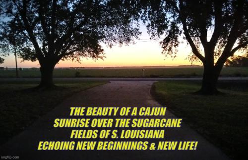 041326 - Cajun Sunrise