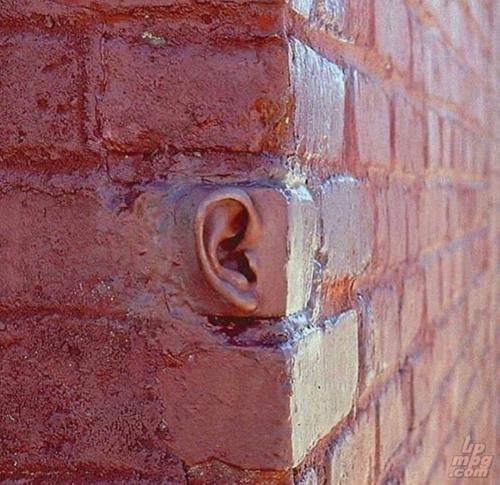 _main-qimg-dd92331a8abb5245aa4e6b2190403597