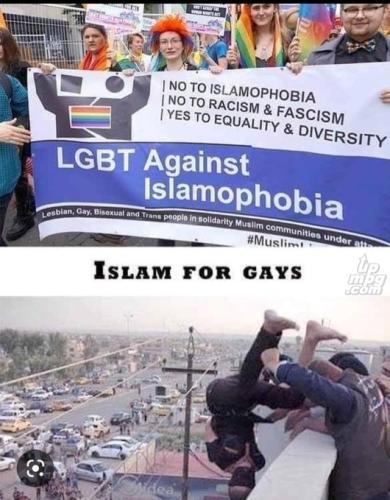 main-qimg-17dead39fbef01ed9037721955f89d52