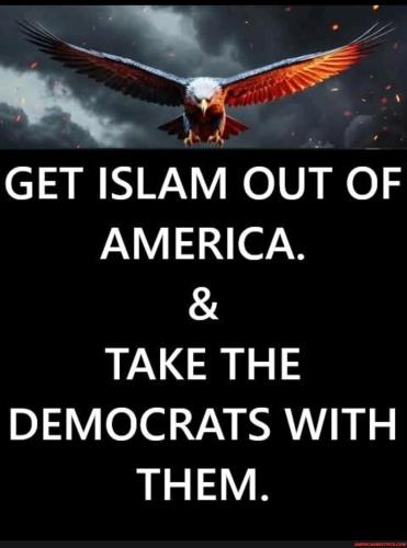 13ac17f1e65a997c96e5ce1f11a1a9c73127e4f7c252252f93c7a416a546ffe4_1